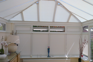 Duette and pleated skylight blinds