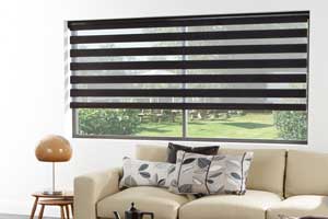 Electric vision and visage blinds